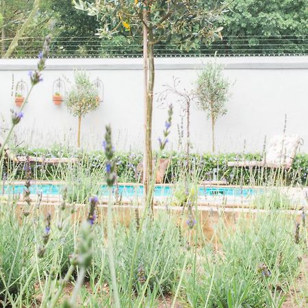 Olive Tree Lodge Paarl Bagian luar foto