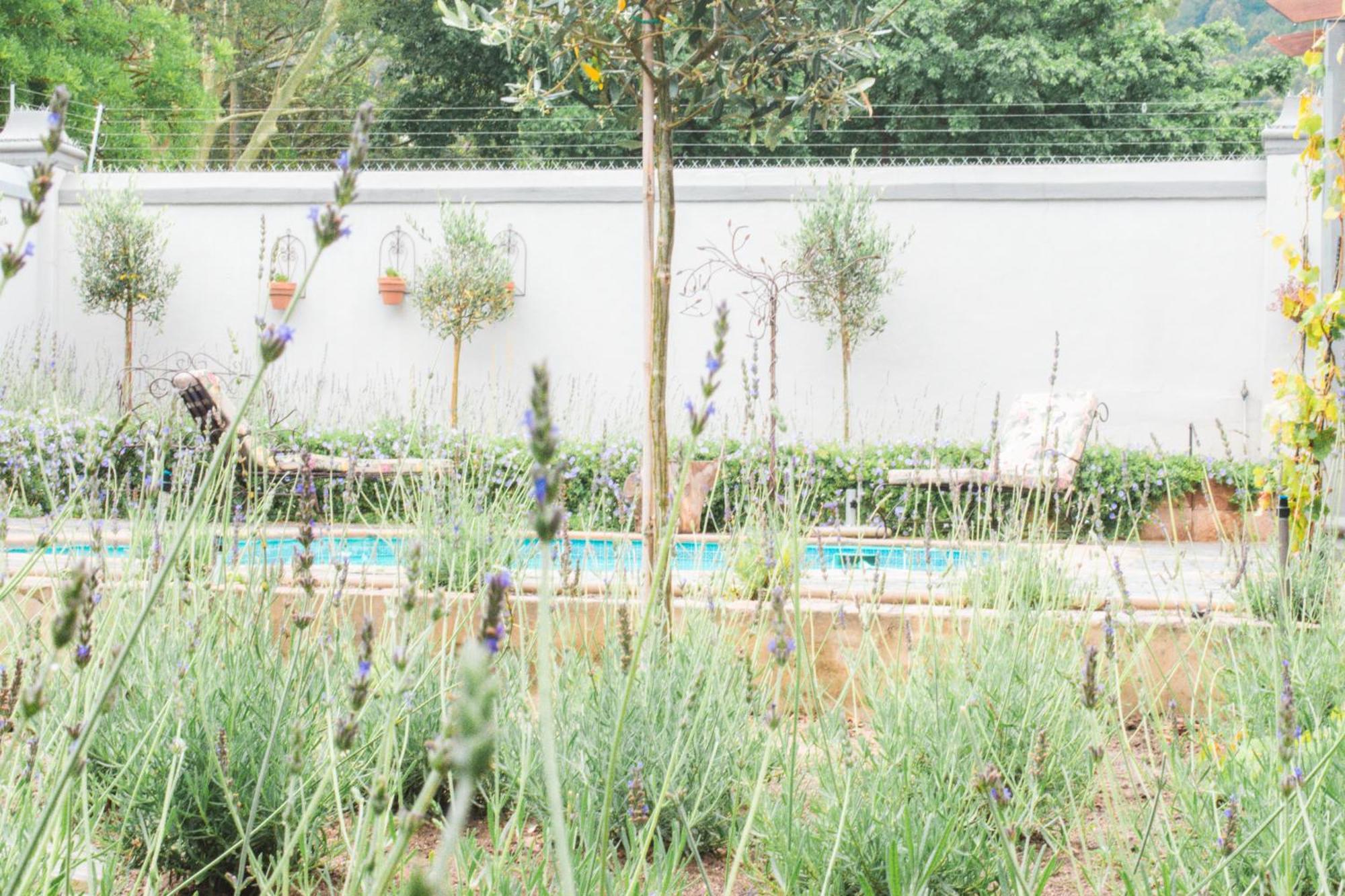 Olive Tree Lodge Paarl Bagian luar foto