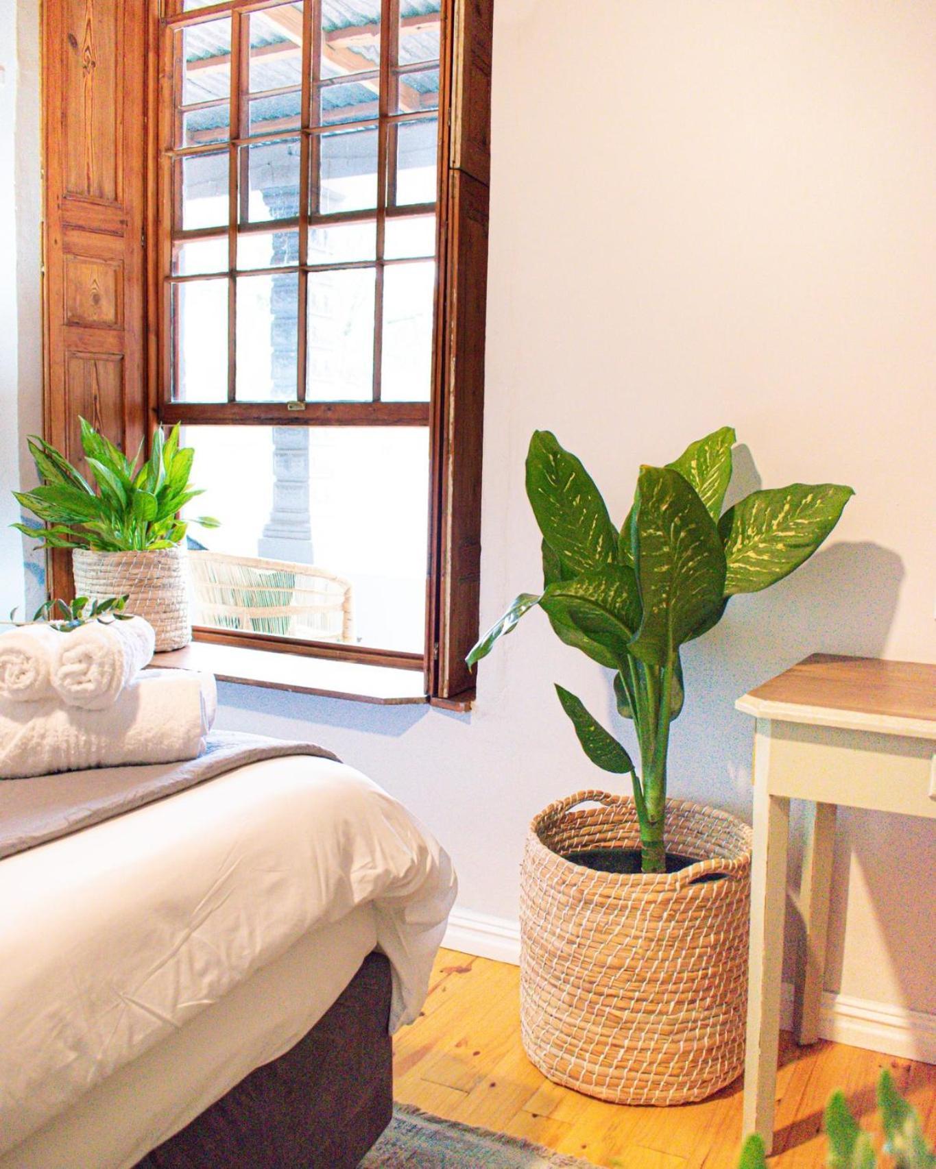 Olive Tree Lodge Paarl Bagian luar foto